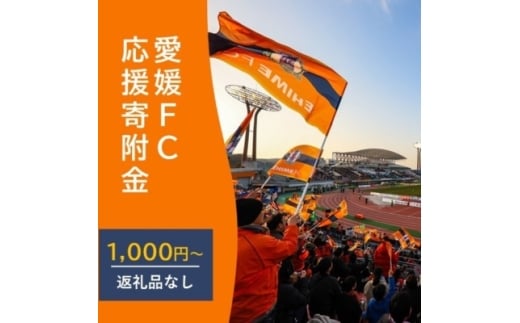 愛媛FCへの支援に活用させていただきます！　　　　　　　　　　　　　　　　　　　　　　　　　　　　　　　　　　　【返礼品なし】愛媛FCへのご寄付 1,000円[№5310-0296]