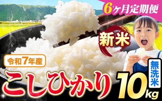 【6ヶ月定期便】令和7年産 新米 無洗米 こしひかり 10kg《お申込みの翌月出荷》熊本県産 ふるさと納税 無洗米 精米 ひの 米 こめ ふるさとのうぜい コシヒカリ コメ お米 おこめ
