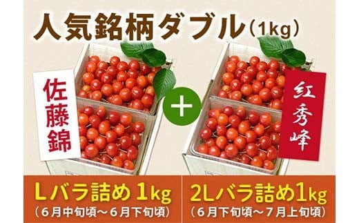 《先行予約 2026年度発送》さくらんぼ人気銘柄ダブル（佐藤錦秀品Lサイズ1kg & 紅秀峰秀品2Lサイズ1kg） FSY-0148 524310 - 山形県山形県庁