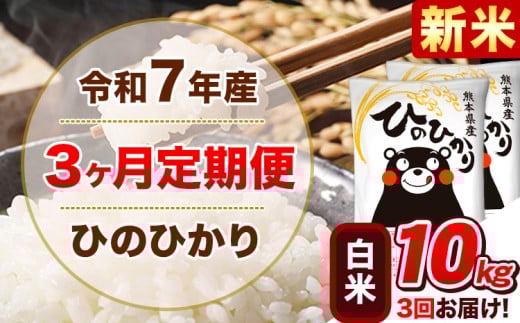 新米 令和7年産【3ヵ月定期便】 白米 ひのひかり 定期便 10kg 5kg×2袋《お申込み翌月から出荷開始》 熊本県産 精米 ひの 米 こめ ヒノヒカリ コメ お米 