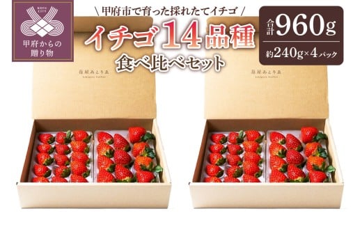 【2025-2026発送分】苺屋あとりゑイチゴ14品種食べ比べセット いちご イチゴ 苺 先行予約 食べ比べ セット ギフト 贈答 プレゼント 採れたて フルーツ 14品種 約240g×4パック 冷蔵 フルーツ王国山梨 甲府市産 1310886 - 山梨県甲府市