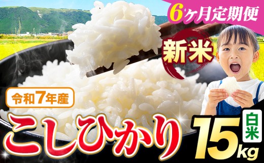 【6ヶ月定期便】令和7年産 新米 白米 こしひかり 15kg《お申込みの翌月出荷》熊本県産 ふるさと納税 白米 精米 ひの 米 こめ ふるさとのうぜい コシヒカリ コメ お米 おこめ