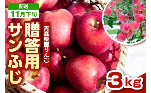 【2025年11月下旬発送】りんご　青森 サンふじ 3kg 程度 《 贈答用 》 農家直送 サンフジ 青森県 五所川原市 贈答 プレゼント 贈り物 林檎 リンゴ apple