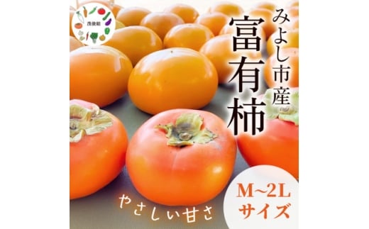 茂俊結の富有柿【1656395】 2259695 - 愛知県みよし市