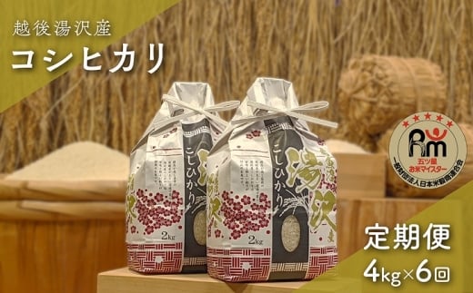 令和7年産【白米4kg/6回定期便】「五つ星お米マイスター」の精米 4kg(2kg×2)×6【湯沢産コシヒカリ】