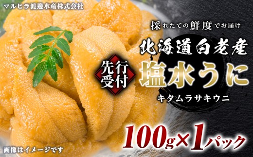2026年発送 先行受付 ウニ本来の味が楽しめる【白老産】塩水ムラサキウニ 100g×1パック