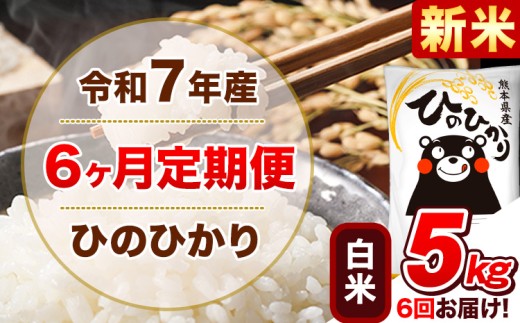新米 令和7年産 【6ヵ月定期便】 白米 ひのひかり 定期便 5kg 5kg×1袋《お申込み翌月から出荷開始》 熊本県産 精米 ひの 米 こめ ヒノヒカリ コメ お米