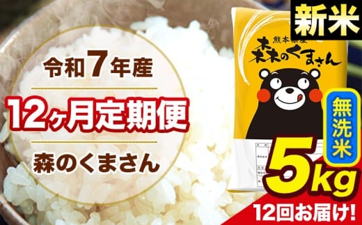 新米 令和7年産 森のくまさん 無洗米 5kg 5kg×1袋 計12回お届け 《お申し込み月の翌月から出荷開始》 お米 こめ 熊本県産 ご飯 備蓄