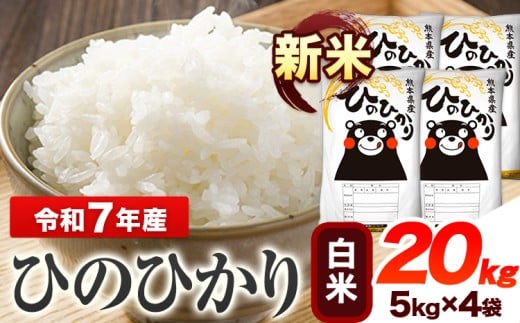 令和7年産 ひのひかり 新米 白米 20kg 《9月下旬-11月上旬頃出荷》 熊本県産 白米 精米 ひの 送料無料 熊本県 山江村