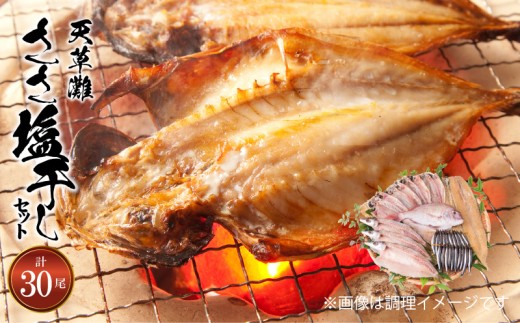 S011-022_天草灘ささ塩干しセット(天然鯛、あじ、カマスのささ塩干し等) 901337 - 熊本県天草市