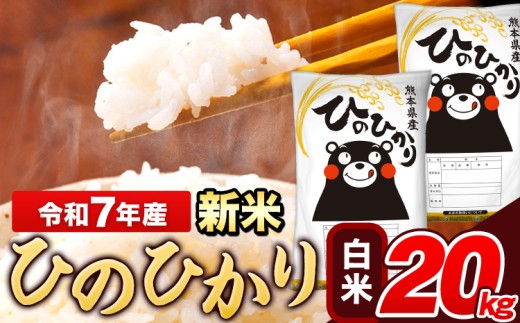 新米 米 令和7年産 ひのひかり 白米 20kg 《9月下旬-11月上旬頃出荷》 5kg×1袋 熊本県産 米 精米 ひの 長洲町