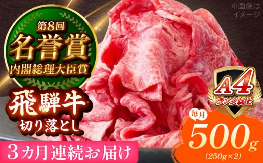 [3回定期便] 飛騨牛 切り落とし 500g (250g×2) 瑞浪市 / 肉のひぐち [AZDE015]