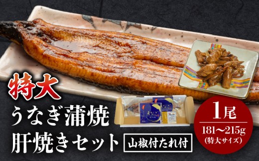 《2026年1月発送予定》国産うなぎ蒲焼(特大サイズ)・肝焼きセット_M069-015_01-jan