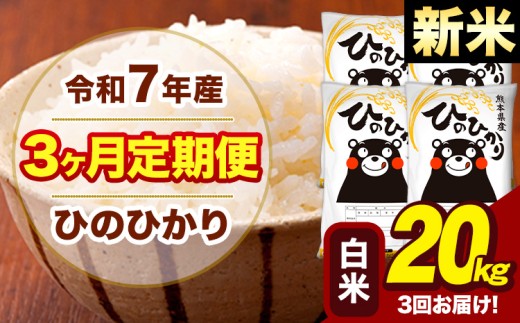 新米 令和7年産 【3ヶ月定期便】 白米 米 ひのひかり 20kg《お申し込み月の翌月から出荷開始》熊本県 大津町 国産 熊本県産 白米 送料無料 ヒノヒカリ こめ お米 