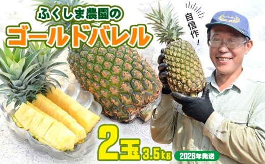 ゴールドバレル【パインアップル】(2玉）約3.5kg　ふくしま農園の自信作！◆2026年発送◆ ゴールドバレル パイナップル 高品質 新鮮 ジューシー 希少 高い糖度 大玉 甘い トロピカル パイン 生産量日本一 高級フルーツ 南国フルーツ 国産フルーツ 完熟 福島 農家直送 沖縄 東村 810414 - 沖縄県東村