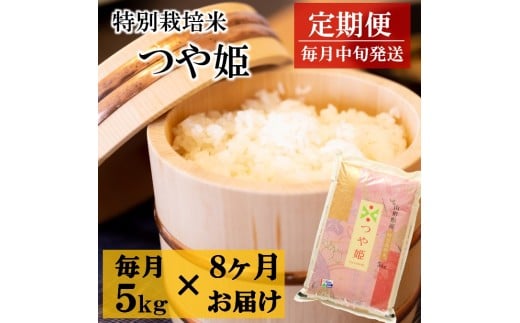 令和7年産【定期便8回】竹原田ファームの特別栽培米つや姫5kg×8回　配送期間：令和7年10月～令和8年5月