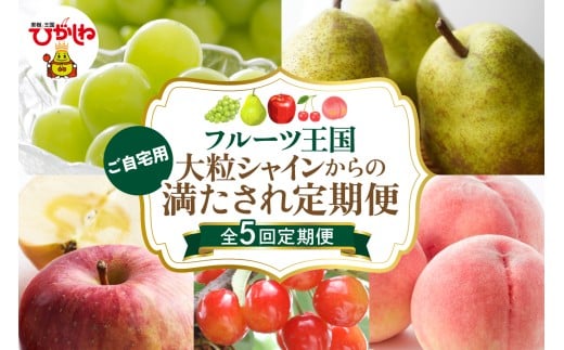 【全5回定期便】2025年大粒シャインからのご自宅用満たされ定期便 千笑花夢提供 山形県 東根市 hi082-035