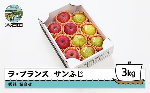 ラ・フランス&サンふじ 詰合せ 約3kg 2025年産 令和7年産 果物 フルーツ 山形県 ry-fsrlx3000 2202223 - 山形県大石田町