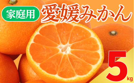 訳あり 愛媛みかん 5kg サイズミックス ご家庭用 産地直送 農家直送 温州みかん 早生 中生 時期で変わる旬の味 甘い 濃厚 フルーツ コク ジューシー 温州みかん うんしゅうみかん 早生 ビタミン ビタミンC 薄皮 柑橘 果物 冬の味覚 こたつ みかん 人気 おすすめ 大容量 愛媛県 愛南町 愛なんよ