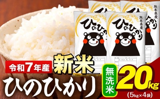 新米 令和7年産 無洗米 米 ひのひかり 20kg (5kg袋×4)《9月下旬-11月上旬頃出荷》熊本県 大津町 国産 熊本県産 無洗米 精米 送料無料 ヒノヒカリ こめ お米 