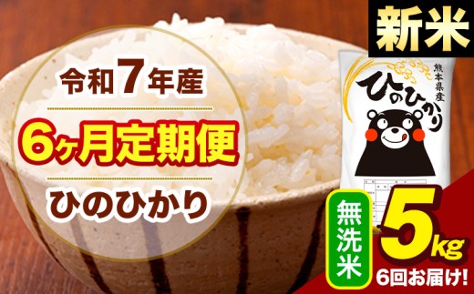 新米 令和7年産 【6ヶ月定期便】  無洗米 米 ひのひかり 5kg《お申し込み月の翌月から出荷開始》熊本県 大津町 国産 熊本県産 無洗米 送料無料 ヒノヒカリ こめ お米