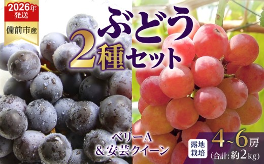 【2026年発送分　先行受付開始！】びぜん葡萄「ベリーA」「安芸クイーン」2種セット（露地栽培）約2kg（令和8年9月上旬～9月中旬頃発送）【 岡山県備前市産 ベリーＡ 安芸クイーン 露地栽培 約2kg 樹上完熟 】 2274858 - 岡山県備前市