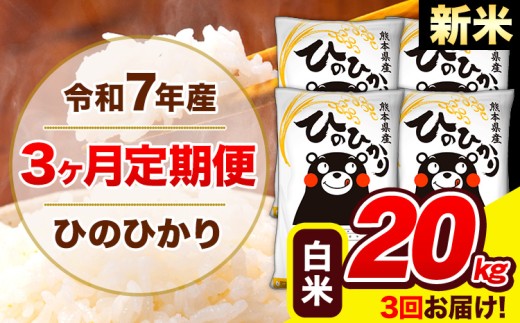 新米 令和7年産 ひのひかり 【3ヶ月定期便】 白米  20kg (5kg×4袋) 計3回お届け 《お申し込み月の翌月から出荷開始》 熊本県産 白米 精米 ひの 米 こめ お米 熊本県 長洲町