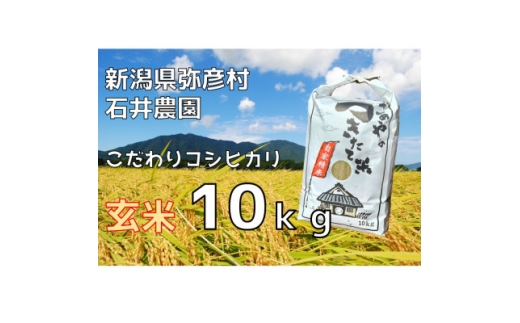 新潟県弥彦村石井農園　令和7年産コシヒカリ＜玄米 10kg＞【1508846】