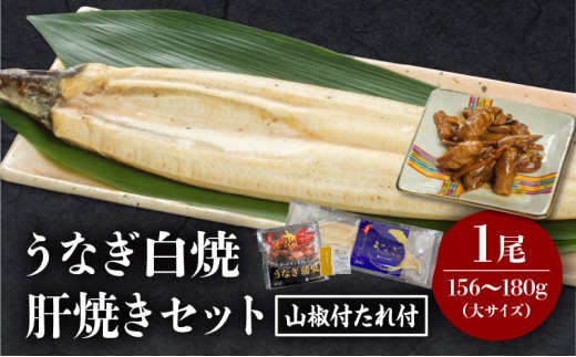《2026年1月発送予定》うなぎ白焼(大サイズ)・肝焼きセット_M069-022-jan