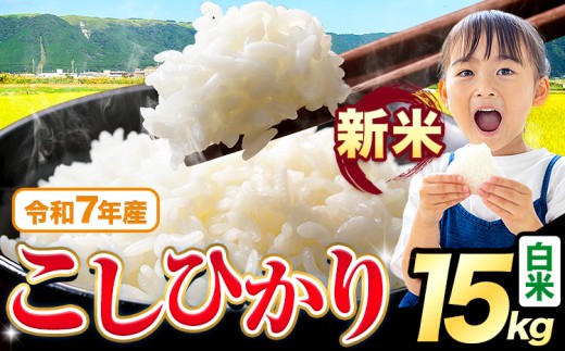 令和7年産 新米 白米 こしひかり 15kg《9月下旬-11月上旬頃出荷》熊本県産 ふるさと納税 無洗米 白米 精米 ひの 米 こめ ふるさとのうぜい コシヒカリ コメ お米 おこめ