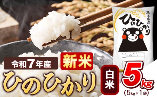 新米 令和7年産  白米 ひのひかり 5kg 《9月下旬-11月上旬頃出荷》熊本県産 ふるさと納税 精米 ひの 米 こめ ふるさとのうぜい ヒノヒカリ コメ お米 おこめ