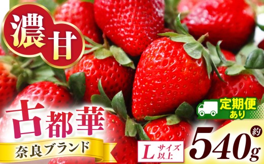 【 定期便 2回 】古都華 約540g (270g×2P)Lサイズ以上 | フルーツ くだもの 果物 いちご イチゴ ことか コトカ 古都華 苺 フレッシュ 果実 新鮮 ブランド苺 ストロベリー 冷蔵 希少 逸品 品種 旬 2月 産地直送 農家直送 お取り寄せ 送料無料 グルメ 芳醇な香り 西岡農園 奈良県 五條市 2263551 - 奈良県五條市