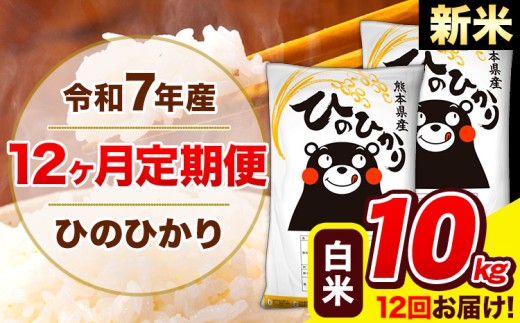 新米 令和7年産 ひのひかり 【12ヶ月定期便】 白米  10kg (5kg×2袋) 計12回お届け 《お申し込み月の翌月から出荷開始》 熊本県産 白米 精米 ひの 米 こめ お米 熊本県 長洲町