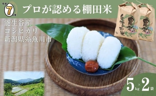 【2025年12月発送】令和7年産新米予約 新潟県能生谷産コシヒカリ 5kg×2袋 計10kg プロも認める棚田米 農家直送 2025年産 JATs有限会社【新潟県 糸魚川市 米 お米 こめ コメ ご飯 ライス ふるさと納税米 ブランド米 おすすめ ギフト 10キロ 精米 白米 人気 食品 選べる配送月 先行予約】 2260389 - 新潟県糸魚川市