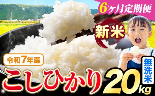 【6ヶ月定期便】令和7年産 新米 無洗米 こしひかり 20kg《お申込みの翌月出荷》熊本県産 ふるさと納税 無洗米 精米 ひの 米 こめ ふるさとのうぜい コシヒカリ コメ お米 おこめ