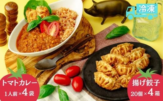 揚げ 餃子 北本トマトカレー セット 餃子80個 +カレー4人前 | ギョウザ 冷凍餃子 ギョーザ 冷凍ギョウザ 冷凍ぎょうざ ぎょうざ ぎょーざ B級 ご当地 グルメ王 入賞 トマト トマトカレー カレー ご当地カレー 冷凍カレー 手軽 食べ比べ 大家族 美味しい おやつ おつまみ 国産野菜 お手軽 大容量 中華 簡単調理 惣菜 北本フーズ 埼玉県 北本市 394444 - 埼玉県北本市