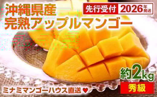 【先行受付】【2026年発送】ミナミマンゴーハウスの完熟アップルマンゴー【秀】約2kg（4～6玉）- 先行予約 沖縄県産 産地直送 南国フルーツ 旬の味覚 旬のフルーツ 贈り物 ギフト 沖縄県 八重瀬町