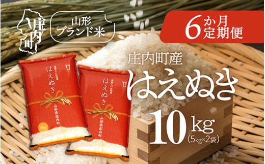 ＜10月中旬発送＞庄内米6か月定期便！はえぬき 10kg（入金期限：2025.9.25）
