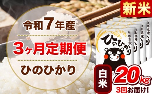 新米 令和7年産 【3ヵ月定期便】 白米 ひのひかり 定期便 20kg 5kg×4袋《お申込み翌月から出荷開始》 熊本県産 精米 ひの 米 こめ ヒノヒカリ コメ お米 