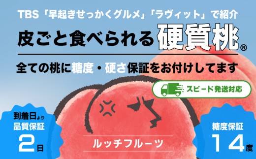 [糖度14度保証付]硬質桃 4〜6玉 約2kg[2025年発送]『皮ごと食べられる硬い桃』[数量限定]テレビで多数紹介![ルッチ Rucci]産地直送 山梨県 笛吹市 糖度 品質 保証 硬い 固い 桃 もも モモ 新鮮 くだもの 果物 人気 TVで紹介 ランキング リピート 高評価 ギフト 贈答 贈り物 化粧箱 2025年 令和7年 先行予約 期間限定 104-007