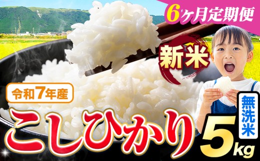【6ヶ月定期便】令和7年産 新米 無洗米 こしひかり 5kg《お申込みの翌月出荷》熊本県産 ふるさと納税 無洗米 精米 ひの 米 こめ ふるさとのうぜい コシヒカリ コメ お米 おこめ