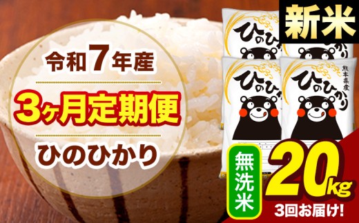 新米 令和7年産 【3ヶ月定期便】  無洗米 米 ひのひかり 20kg《お申し込み月の翌月から出荷開始》熊本県 大津町 国産 熊本県産 無洗米 送料無料 ヒノヒカリ こめ お米 