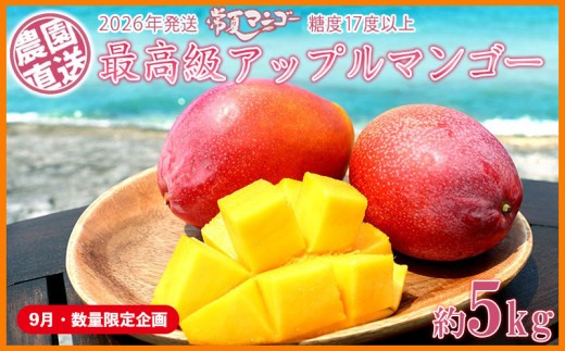 【9月・数量限定企画】【2026年発送】最高級　常夏アップルマンゴー！糖度17度以上　約5kg以上農園から直送 最高級 先行予約 沖縄 甘味 糖度 濃厚 美味しい お土産 おいしい ギフト とろける甘さ 香り アーウィン 果汁 ５キロ 箱入り お取り寄せ 見た目 きれい 綺麗 2260475 - 沖縄県大宜味村