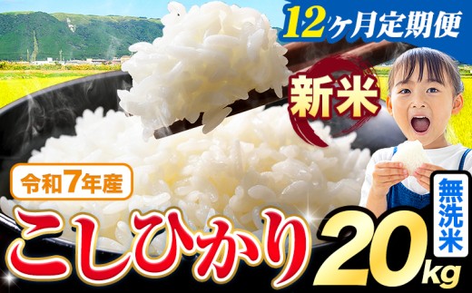 【12ヶ月定期便】令和7年産 新米 無洗米 こしひかり 20kg《お申込みの翌月出荷》熊本県産 ふるさと納税 無洗米 精米 ひの 米 こめ ふるさとのうぜい コシヒカリ コメ お米 おこめ