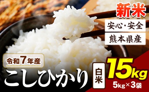 令和7年産 新米 こしひかり 15kg 《9月下旬-11月上旬頃出荷》令和7年産 熊本県産 ふるさと納税 新米 白米 精米 ひの 米 こめ ふるさとのうぜい コシヒカリ コメ お米 おこめ 2144844 - 熊本県産山村