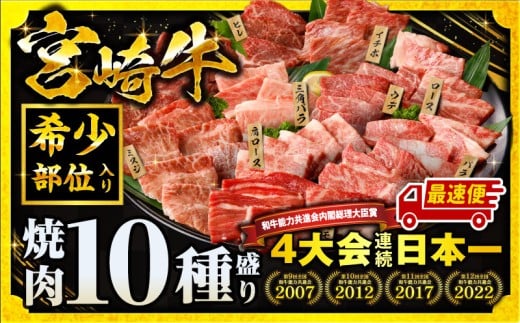 【最速便(10日以内に発送)】宮崎牛焼肉10種盛り合わせ_M132-067-10d