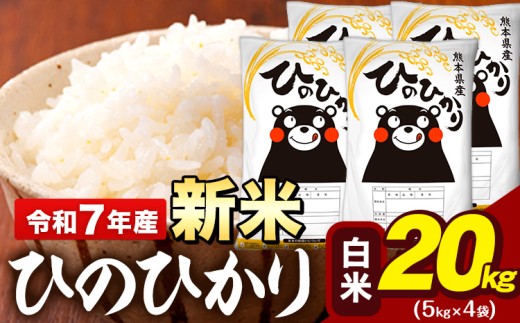 新米 令和7年産 白米 米 ひのひかり 20kg (5kg袋×4)《9月下旬-11月上旬頃出荷》熊本県 大津町 国産 熊本県産 白米 精米 送料無料 ヒノヒカリ こめ お米