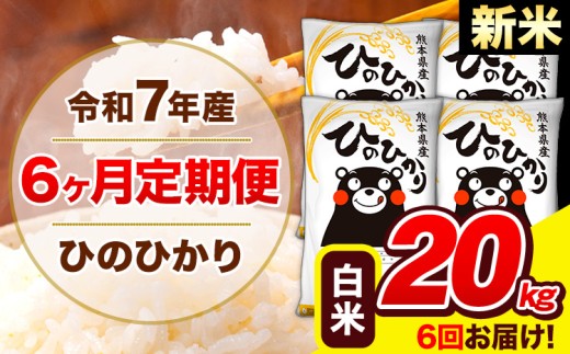 新米 令和7年産 ひのひかり 【6ヶ月定期便】 白米  20kg (5kg×4袋) 計6回お届け 《お申し込み月の翌月から出荷開始》 熊本県産 白米 精米 ひの 米 こめ お米 熊本県 長洲町
