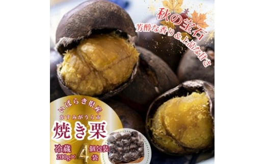 ＜先行受付＞かすみがうら市産　焼き栗　200g×4袋　(冷蔵)【1350883】 1105820 - 茨城県かすみがうら市
