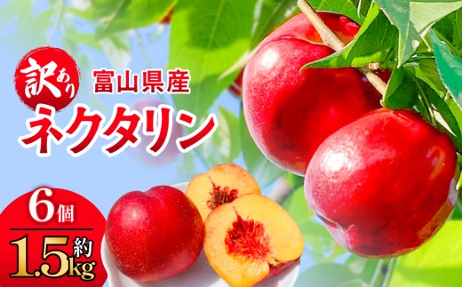 [訳あり]富山県産 ネクタリン 6個 (約1.5kg)